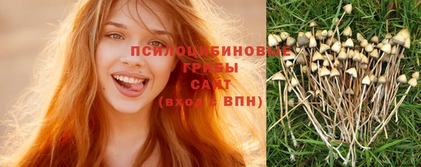 a pvp Армянск