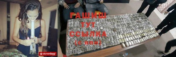 гидра Елизово