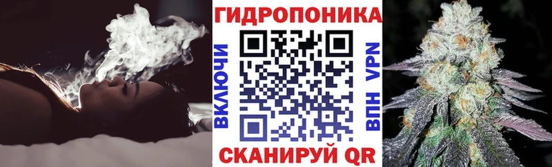 Бошки Шишки конопля  МЕГА как войти  Волгоград 